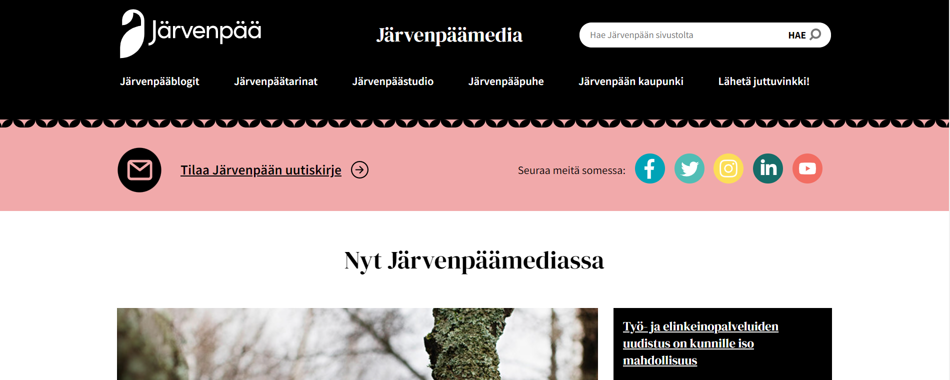 Saavutettavuusauditointi Järvenpäämedialle - Verkkovaraani